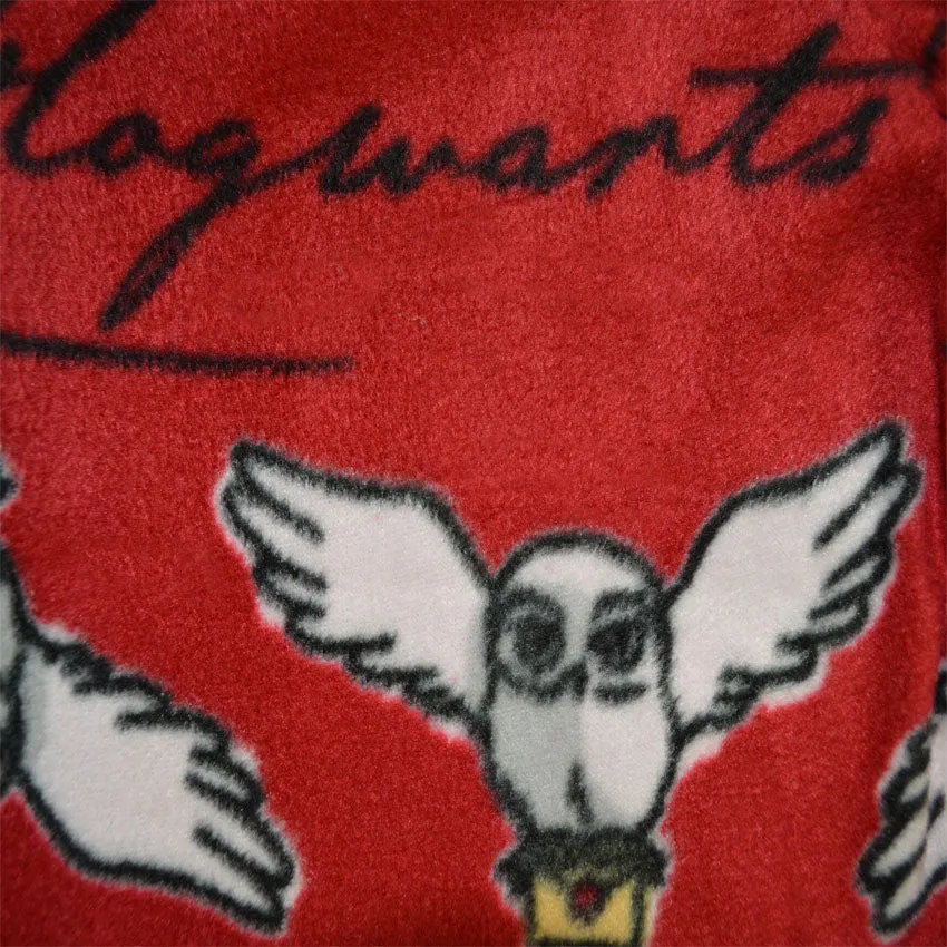 Harry Potter Hedwig Has My Letter from Hogwarts Fleece Pajama